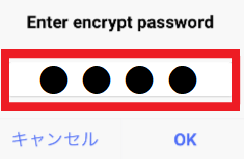 Bitpayパスワード入力